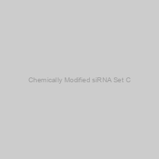 Image of Chemically Modified siRNA Set C
